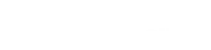 The Visual Storytellers Group logo