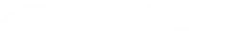 The Visual Storytellers Group logo